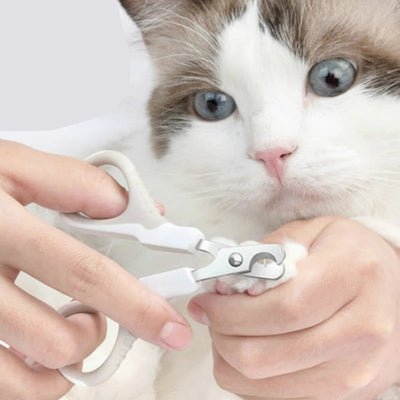 Pet Clippers