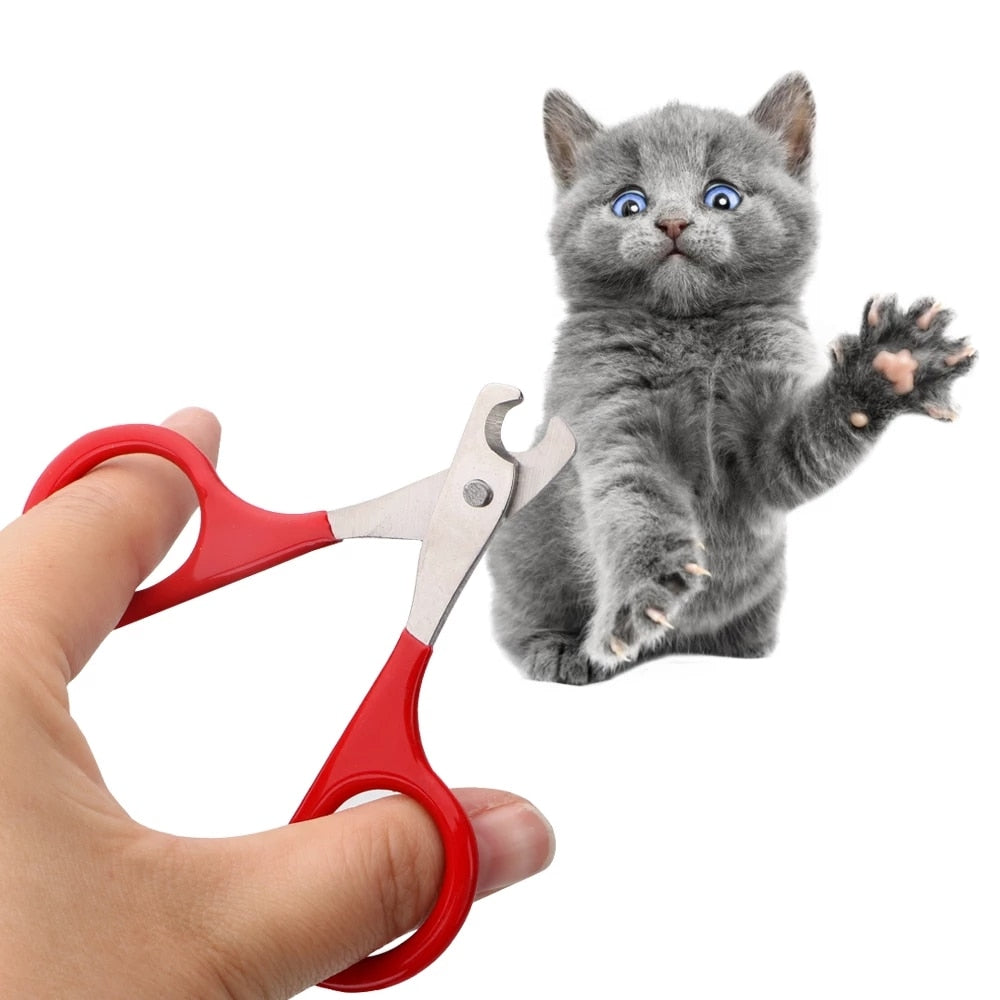 Pet Clippers